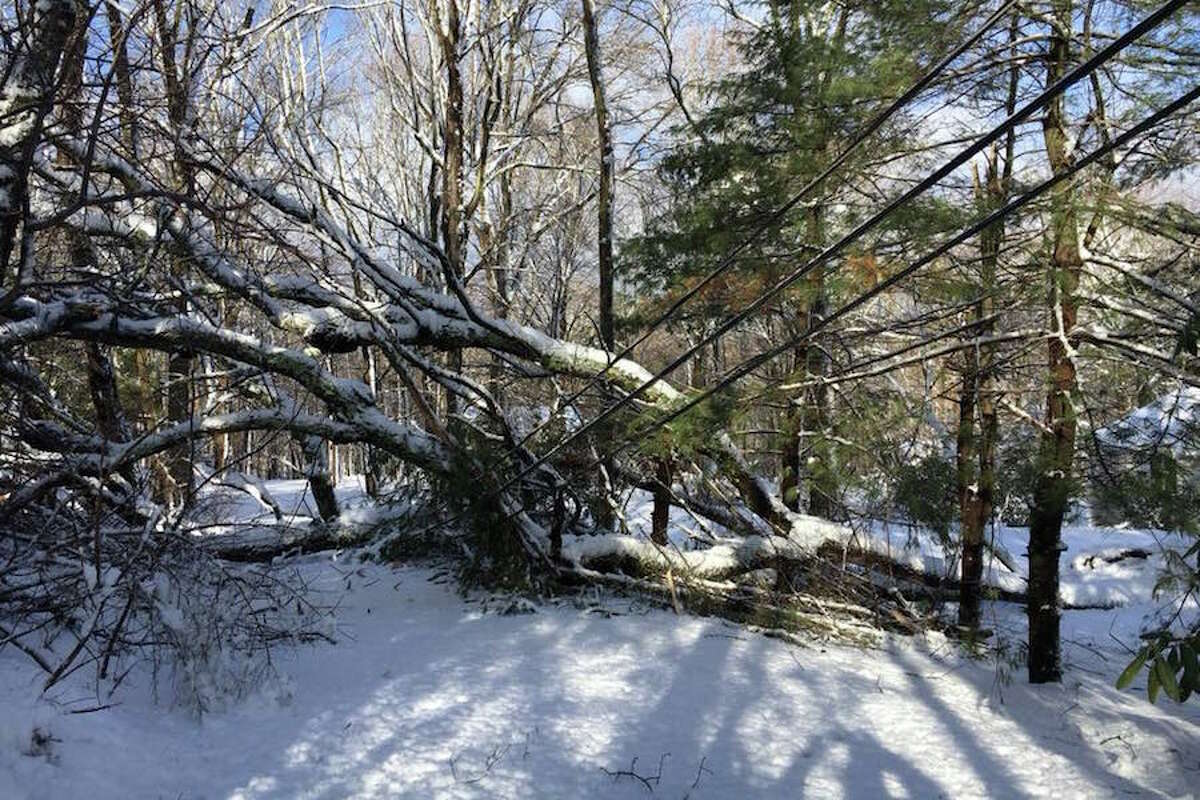 This is a view of Andrew Lishnoff's driveway on Old Wagon Road, where a tree fell on power lines.