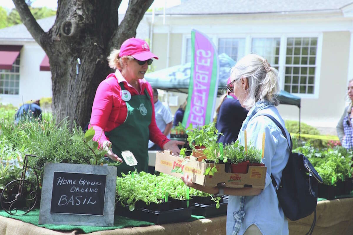 Nancy Greeley sells herbs at last year's plant sale presented by the Wilton Garden Club. This year's sale is Friday and Saturday.