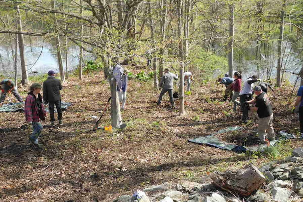 Volunteers from ASML clear downed tree limbs, invasive plants and other debris from the area around the pond at Slaughter Fields, April 29.