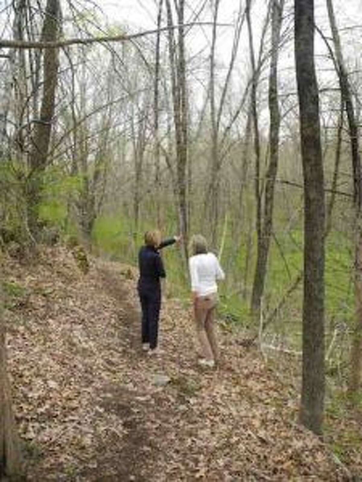 Wilton trail honors Nick Parisot