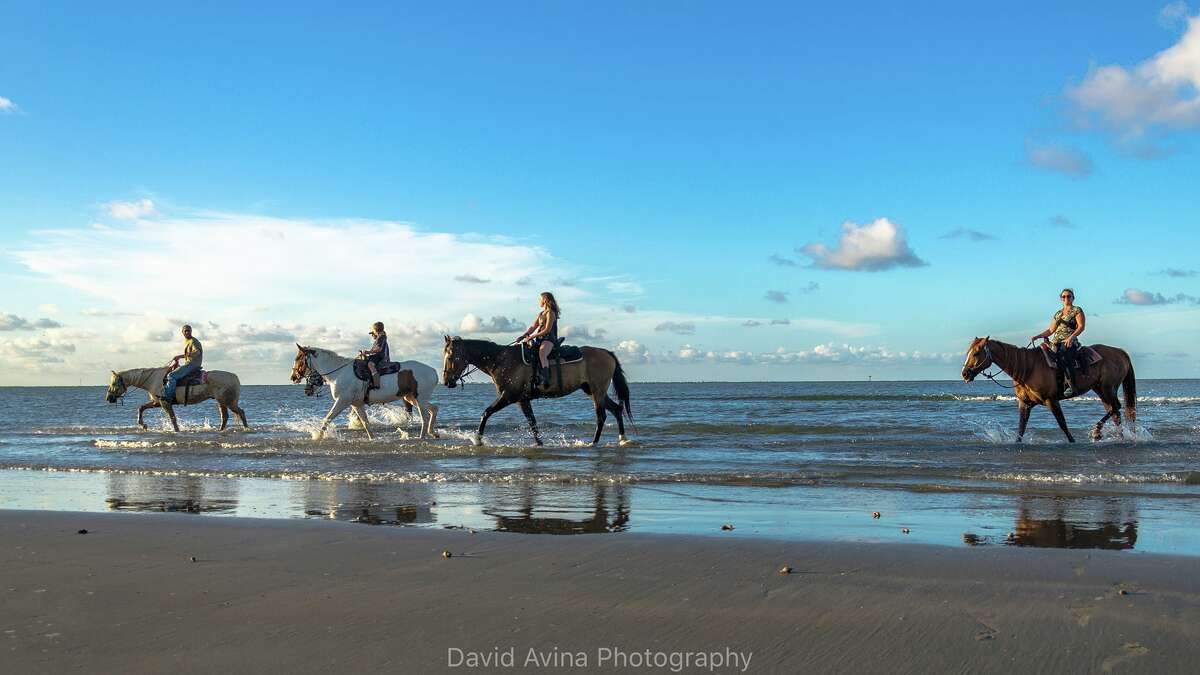 Get in touch with nature in Galveston