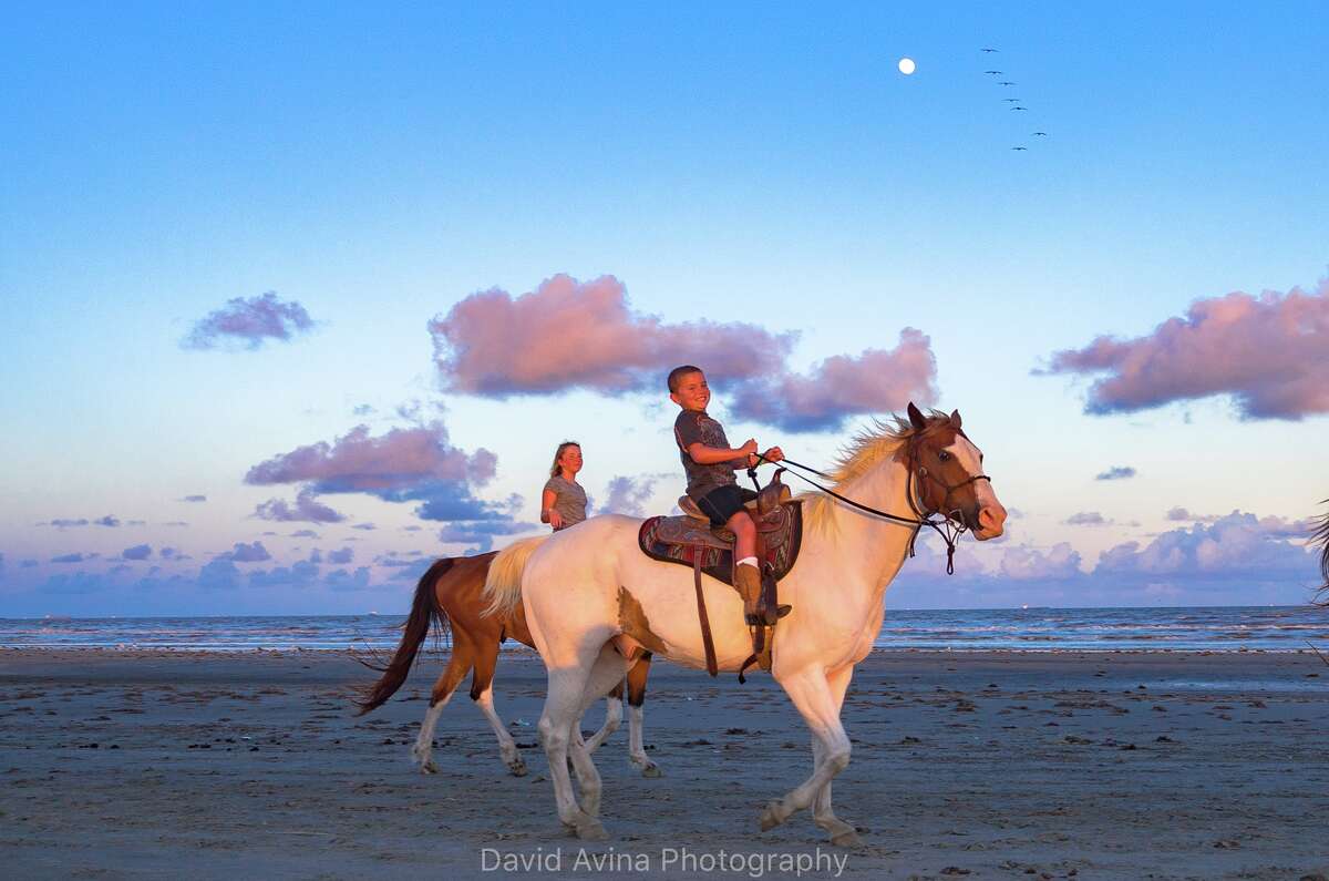 Get in touch with nature in Galveston
