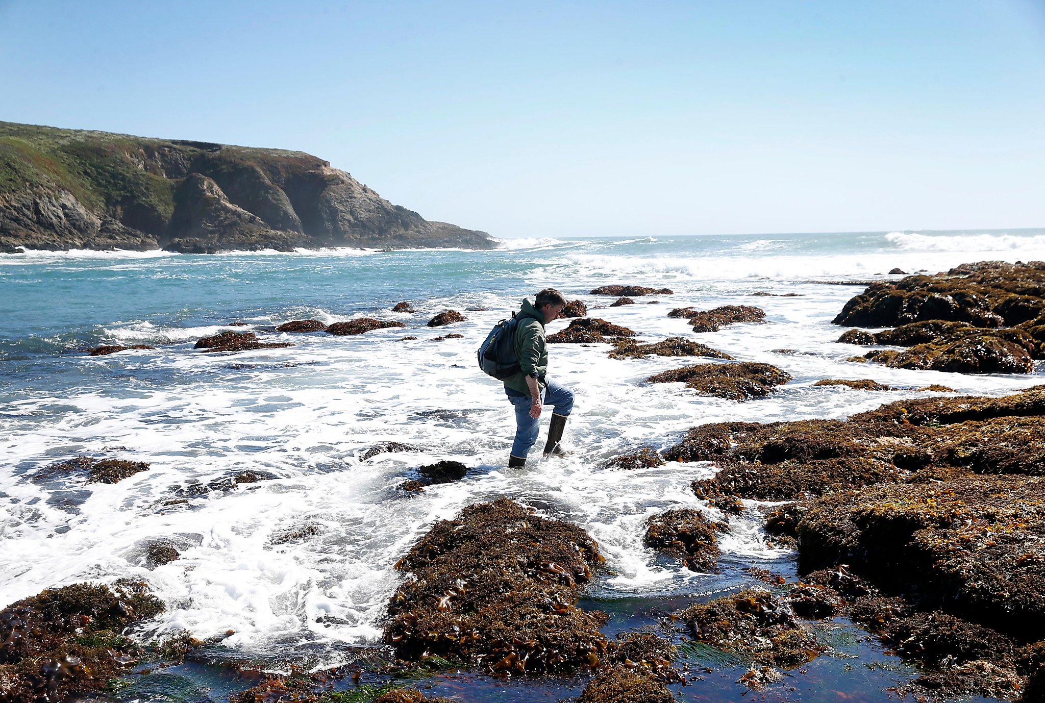 Bodega Bay tide pools show effects of climate change