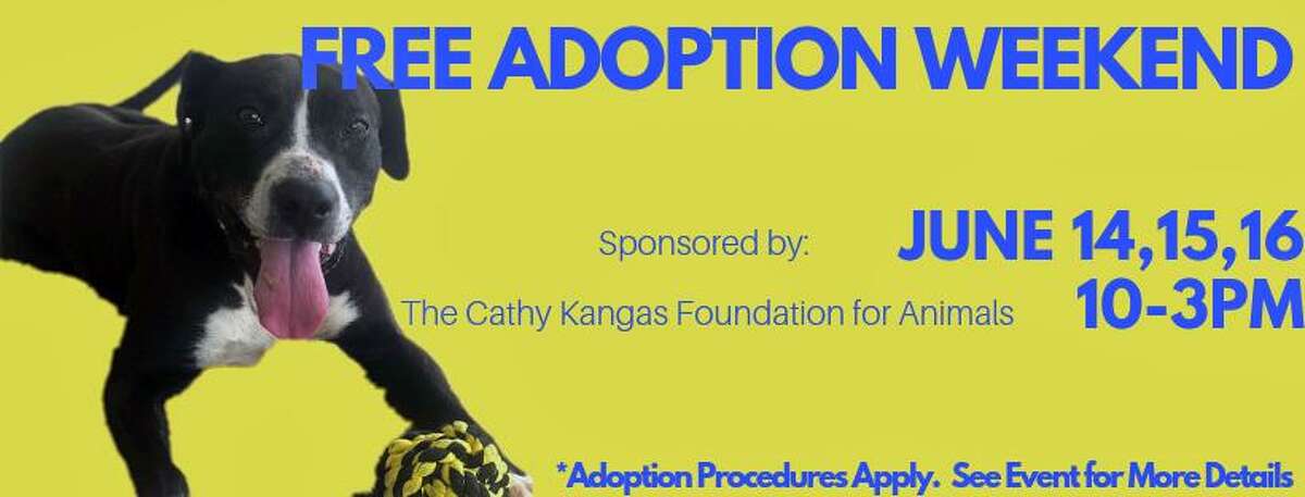 Free the Shelters' returns to Bridgeport Animal Control this weekend Free the Shelters' returns to Bridgeport Animal Control this weekend