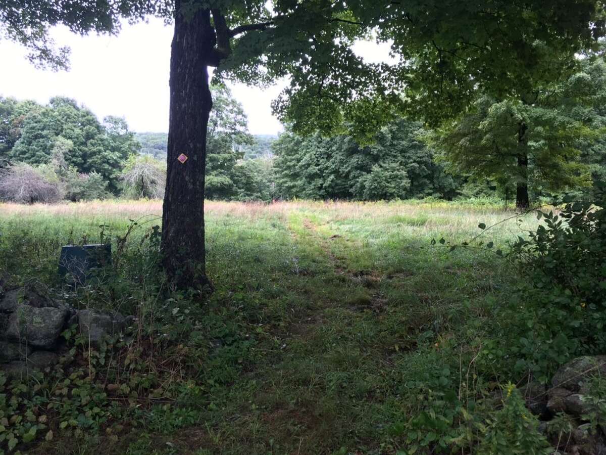 The new route of the Ives Trail through the Weidel property meadows. - Contributed photo