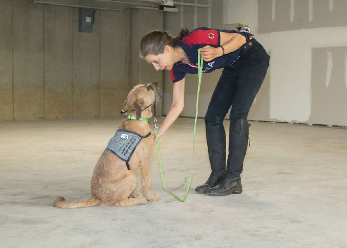 A Putnam Service Dogs puppy raiser with Benji.