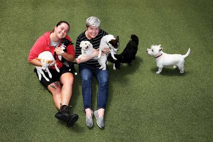 How Dedicated Dog Lovers Saved Their Canine Day Care In Oakland