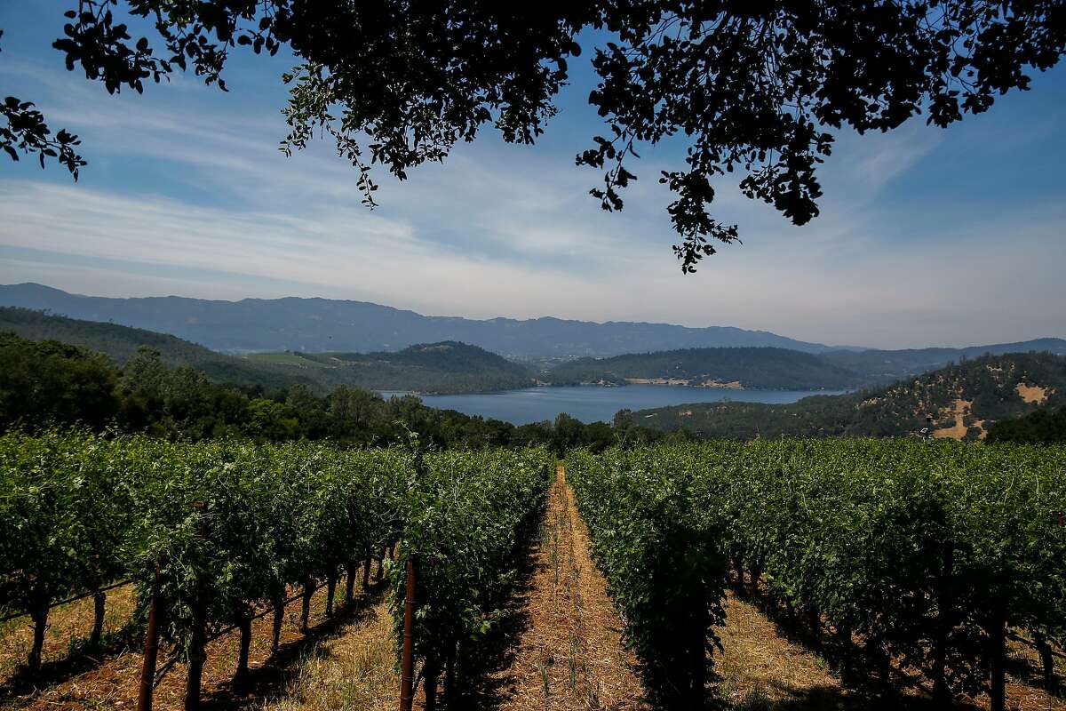 The view of Lake Hennessy from the vineyards of Bryant Estate winery as seen on Thursday, June 13, 2019, in St. Helena, Calif.