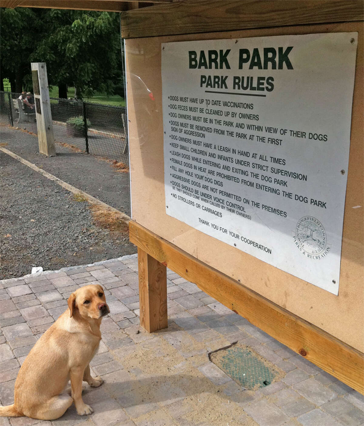 Bark Park ranks top 10 in state parks list