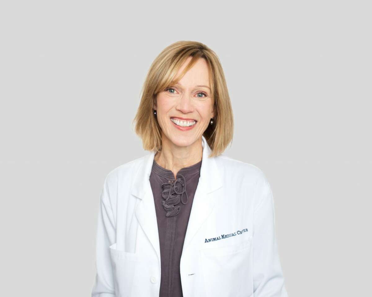 Dr. Katherine Quesenberry