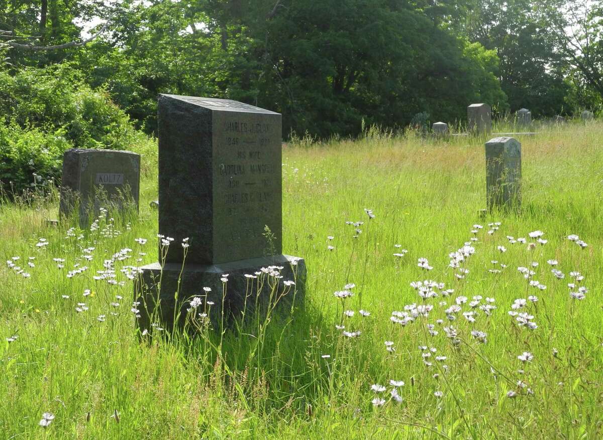 Wildflowers and tall grass were growing in Branchville Cemetery in early June. — Macklin Reid photo