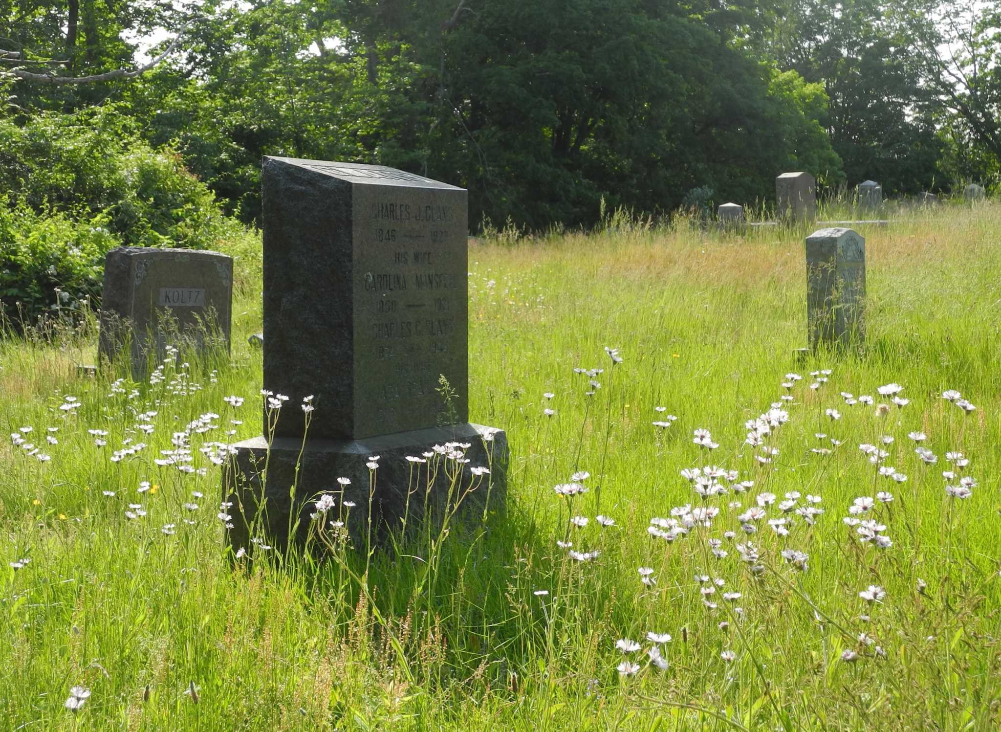 Branchville Cemetery To own, or just to mow?