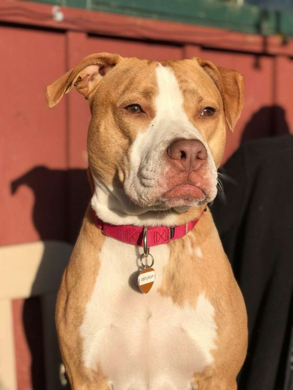 Sampson