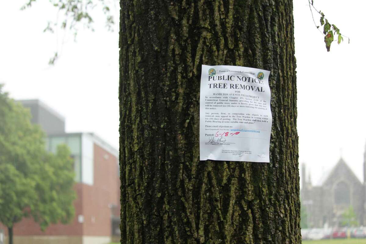 The tree department of the town of Greenwich has posted more than a dozen trees at Hamilton Avenue School. They could be removed for the project to level the playing field, a long overdue project that advocates say would make the field safer.