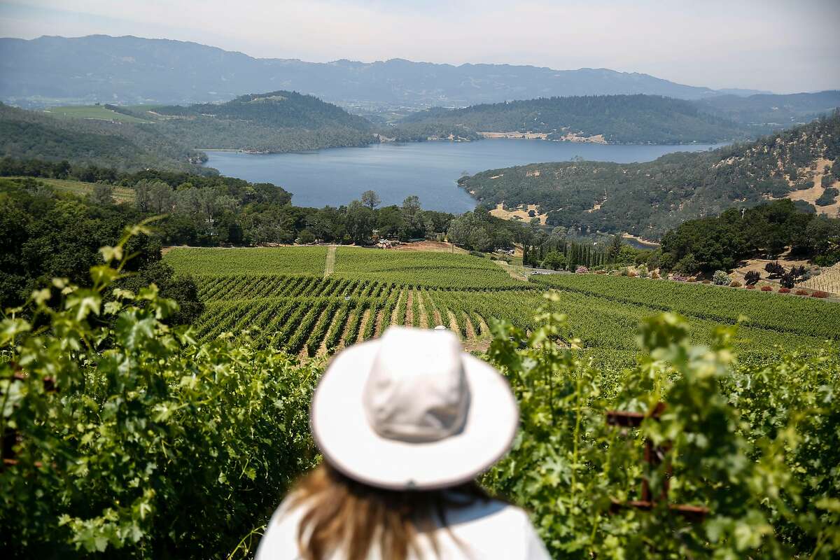Winemaker Katherine "KK" Carothers takes in the view from the vineyards at the Bryant Estate winery on Thursday, June 13, 2019, in St. Helena, Calif.