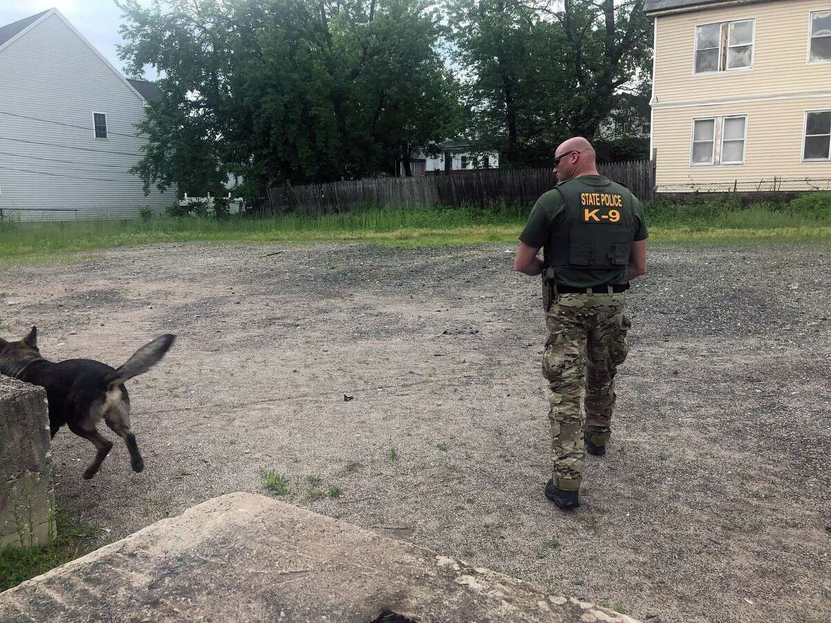 State police search the area of Albany Avenue in Hartford on May 31 after discovering Fotis Dulos discarded garbage bags in more than 30 trash bins one week earlier, according to his arrest warrant.