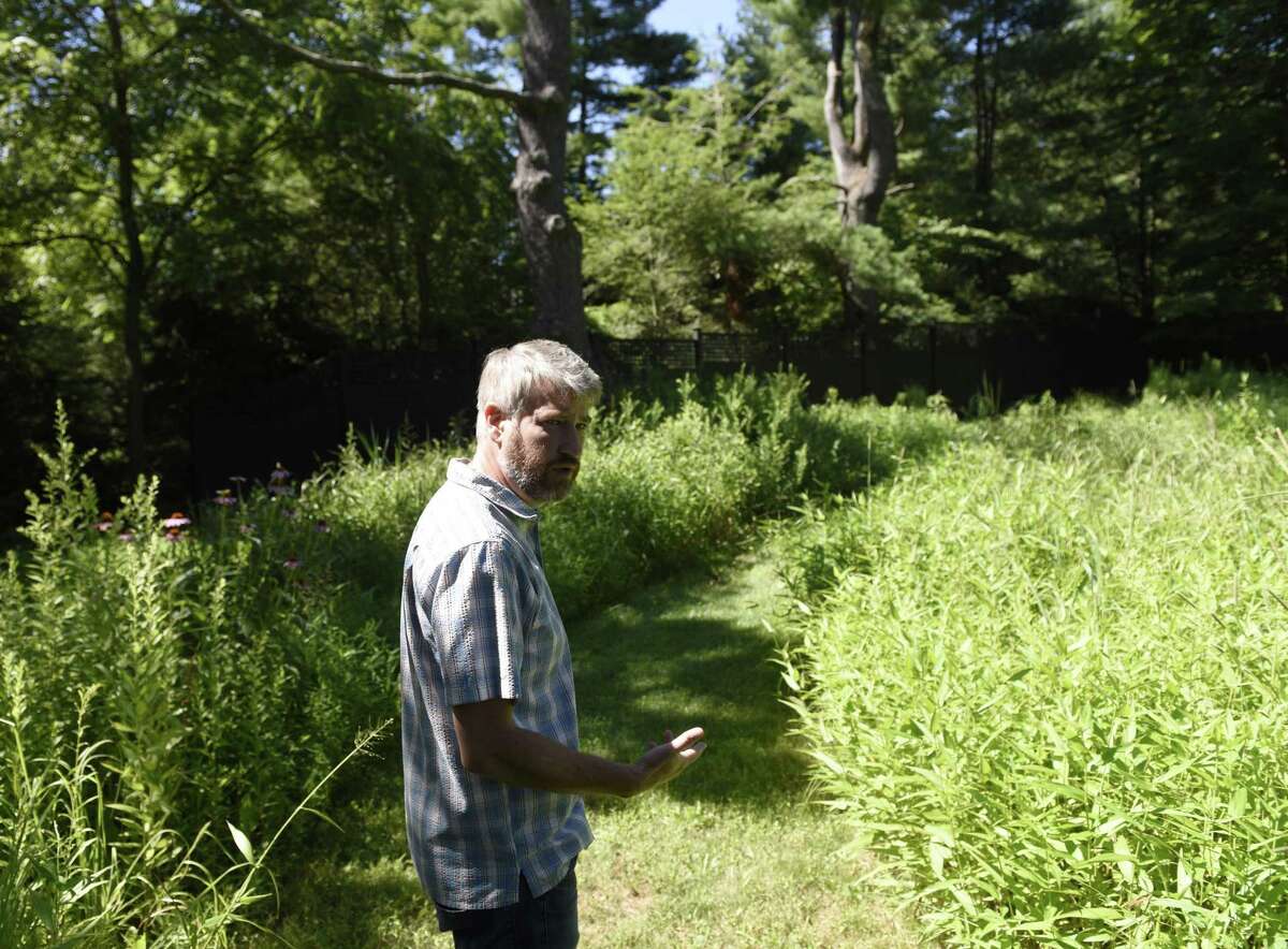 Greenwich Land Trust Executive Director Will Kies walks through the meadow section of the Mueller Preserve in Greenwich on July 19, 2018. The GLT will celebrate the longest days of the year with a summer nature walk through its Mueller Preserve from 1:30 to 3 p.m. Thursday. Walkers will experience a wildflower meadow, woodlands, wetlands, pollinator garden, an orchard and other habitats. After the walk, participants can help with a gardening project. Kid friendly and free. RSVP to sophie@gltrust.org.