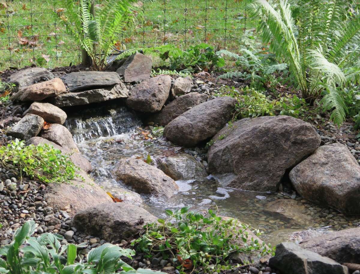 The cascading pondless waterfall fits in naturally at the DCA Bird Sanctuary, attracting birds and also butterflies in season.
