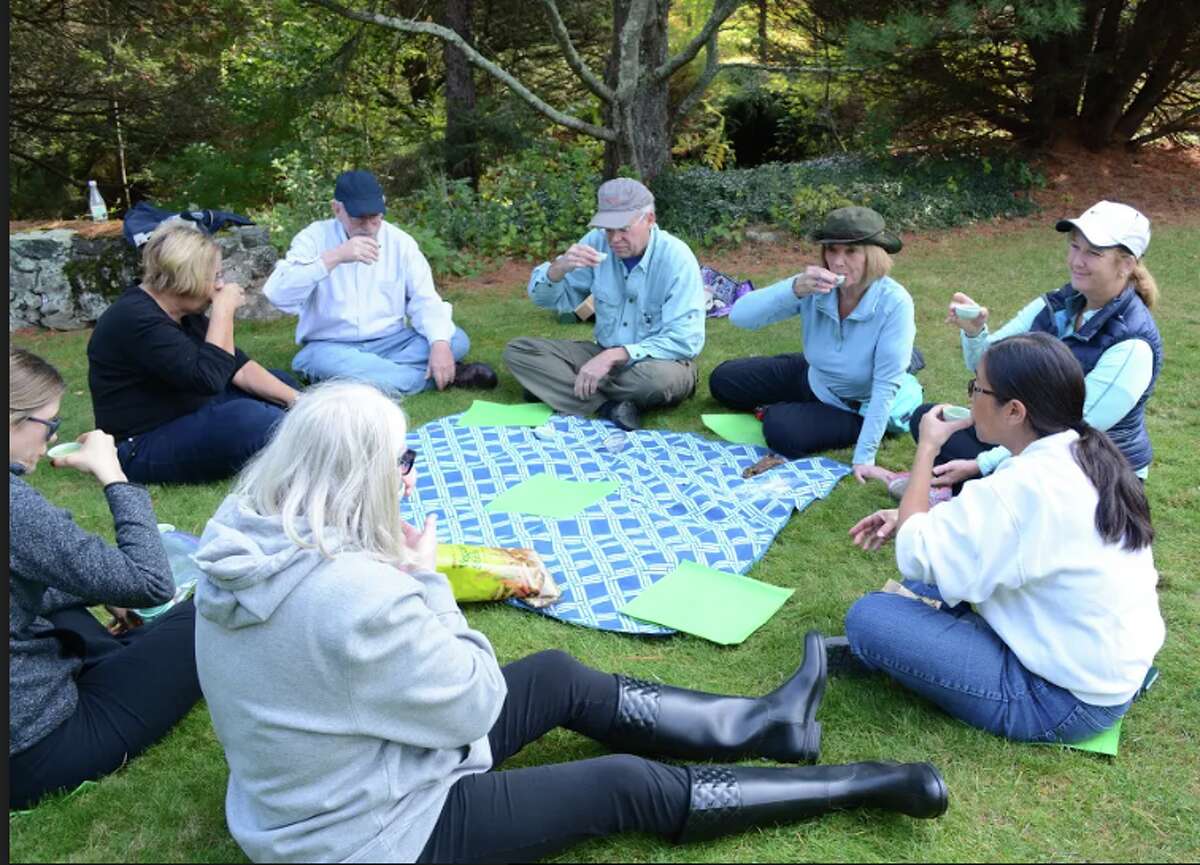 Members of the Tree Conservancy of Darien at a tea ceremony following a forest bathing walk in Stamford.
