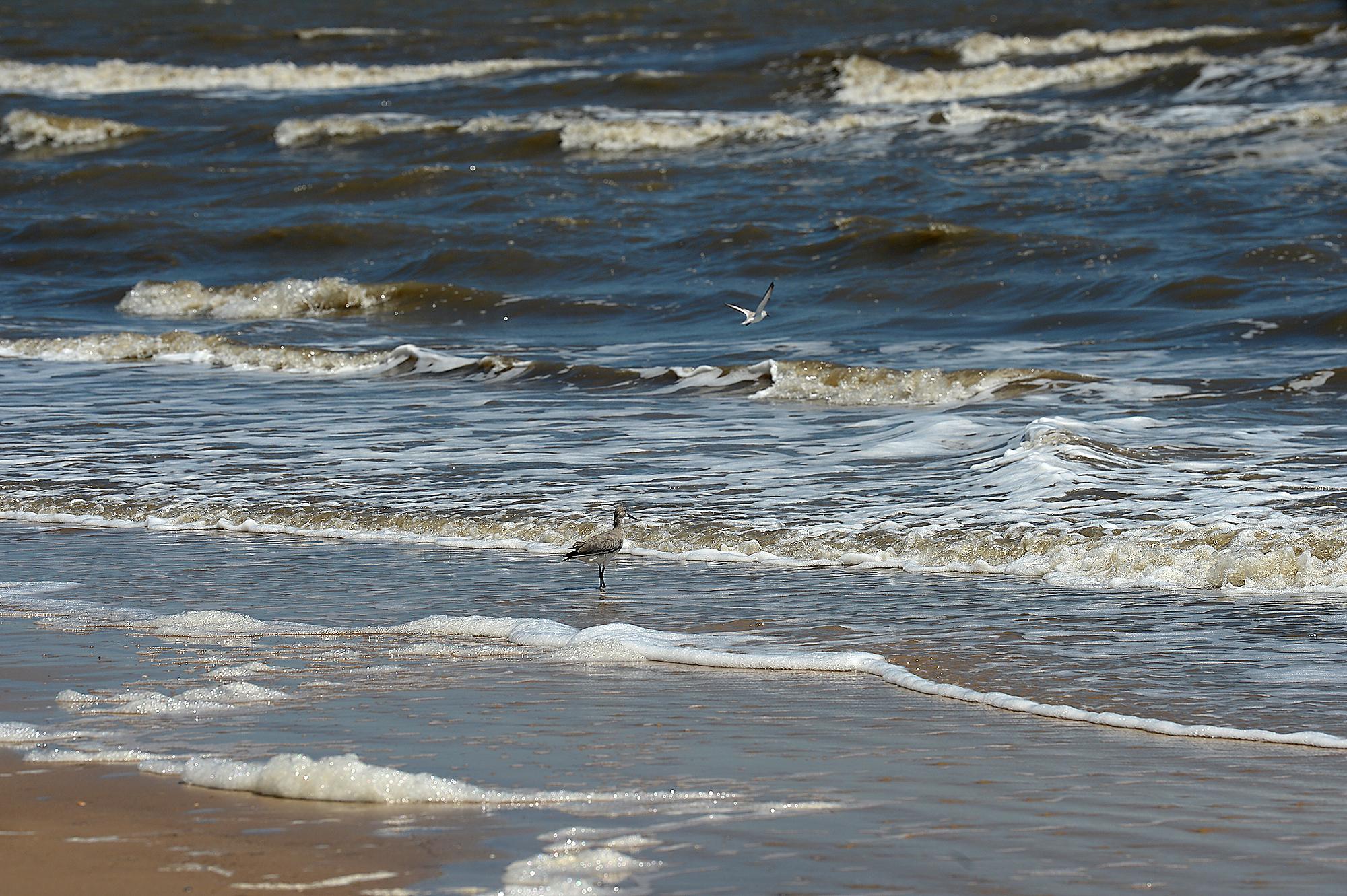 Jefferson County issues advisory for Sea Rim beaches due to bacteria