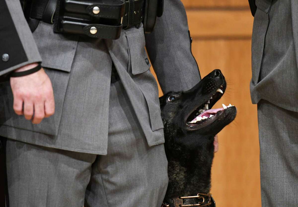 Trooper Mark Castiglione Jr. pets his Canine Amber during the New York State Police K-9 Academy Graduation on Thursday, June 20, 2019 at the State Police Academy in Albany, NY. (Phoebe Sheehan/Times Union)