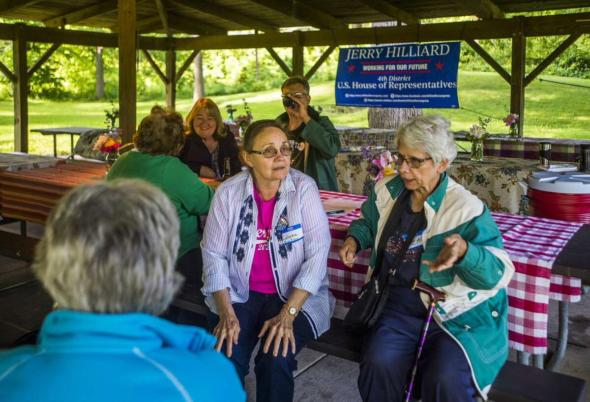 Members of the Midland County Democratic Party host a picnic on Thursday, Friday 20, 2019 in Emerson Park. (Katy Kildee/kkildee@mdn.net)