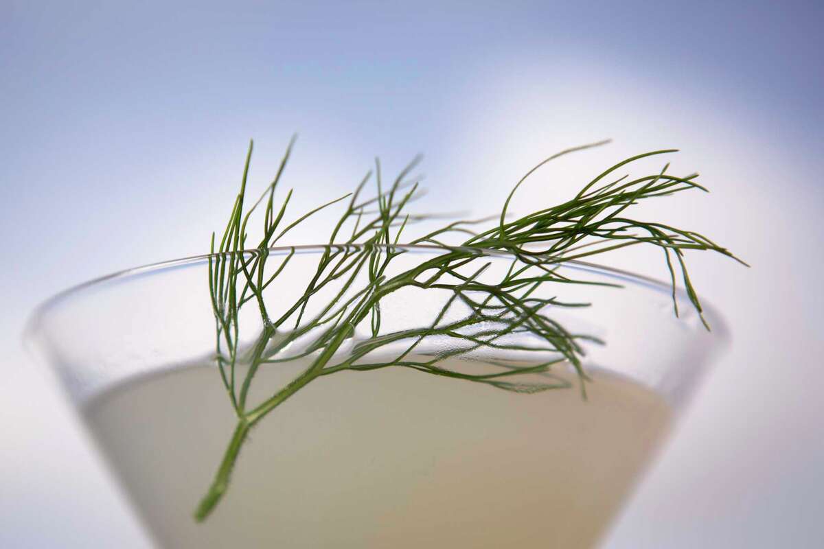 Strato 550 is a walk in the clouds