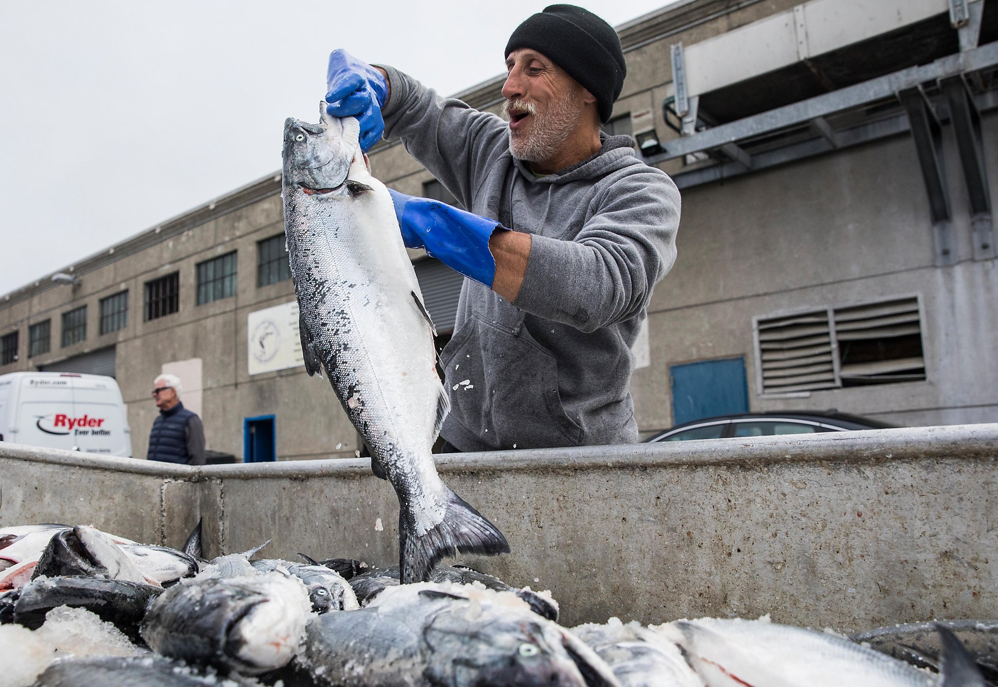 picture Deep Sea Fisherman Blm sport fishing season dead in the water