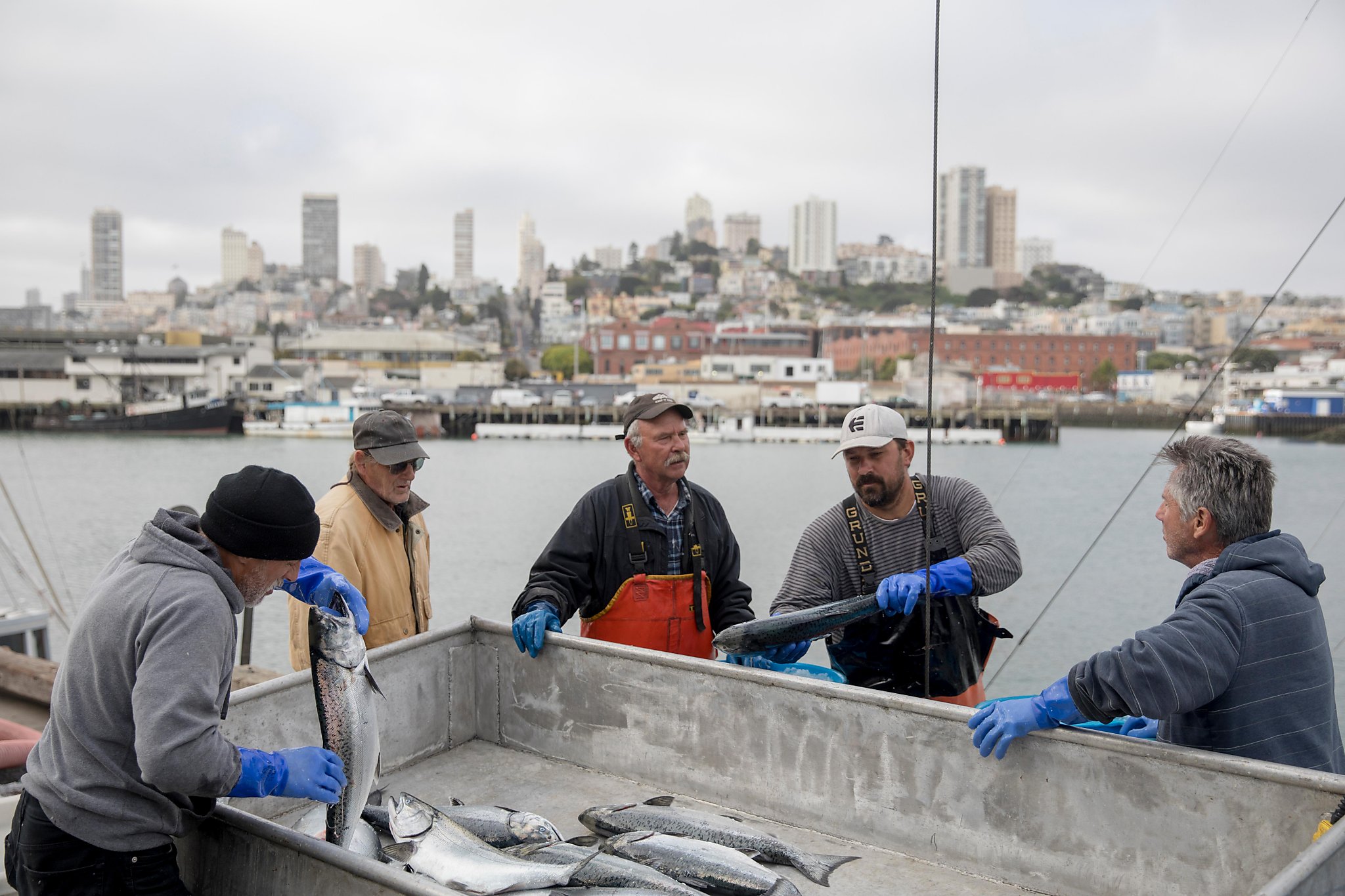 Bay Area salmon season is expected to be much shorter this year