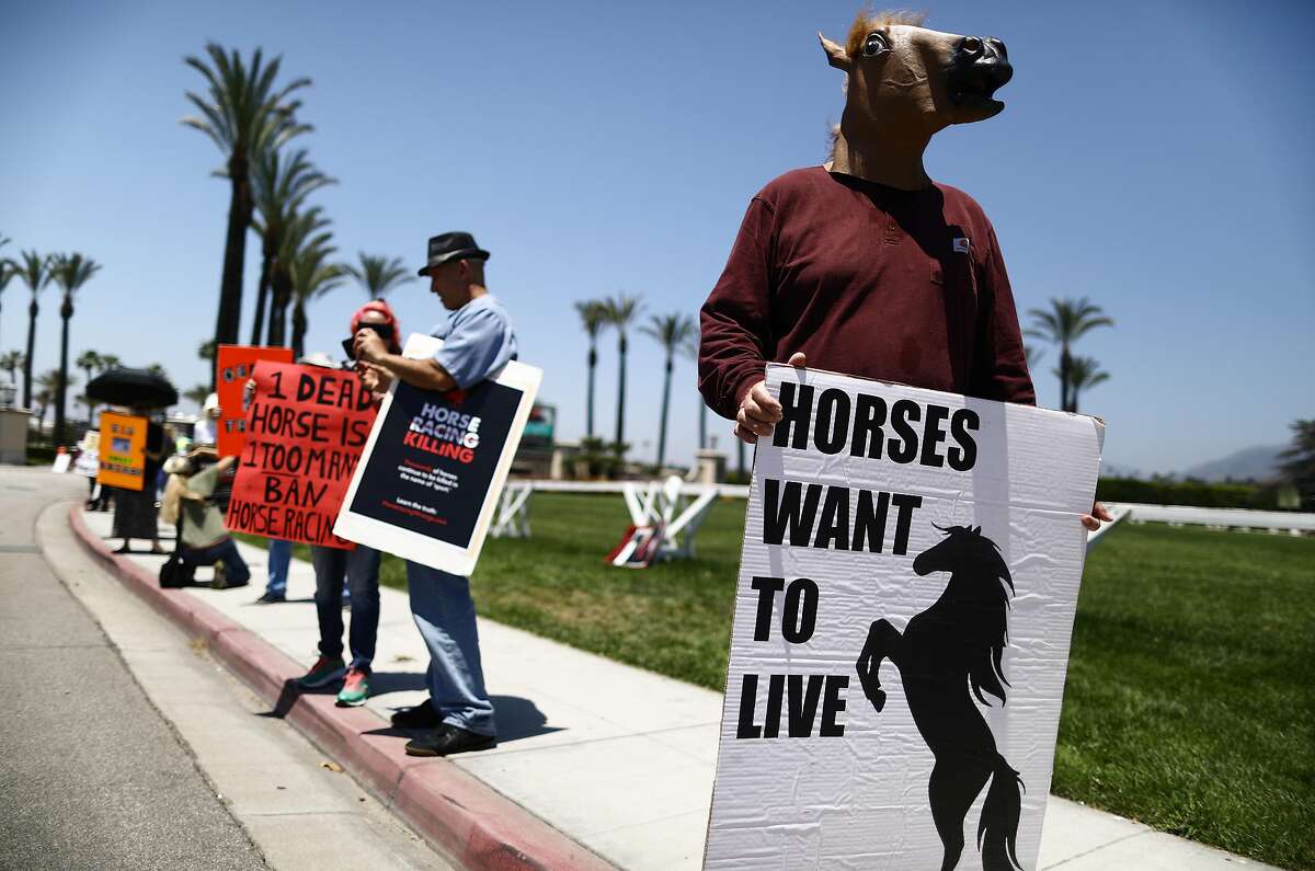 ARCADIA, CALIFORNIA - JUNE 23: Animal rights activists protest horse racing deaths outside Santa Anita Park on June 23, 2019 in Arcadia, California. Santa Anita ownership banned a Hall of Fame trainer yesterday following the death of a fourth horse from his stable at the track. It was the 30th race horse to die at the famed racetrack since December 26. Today is the final day of horse racing for the season at Santa Anita. (Photo by Mario Tama/Getty Images)
