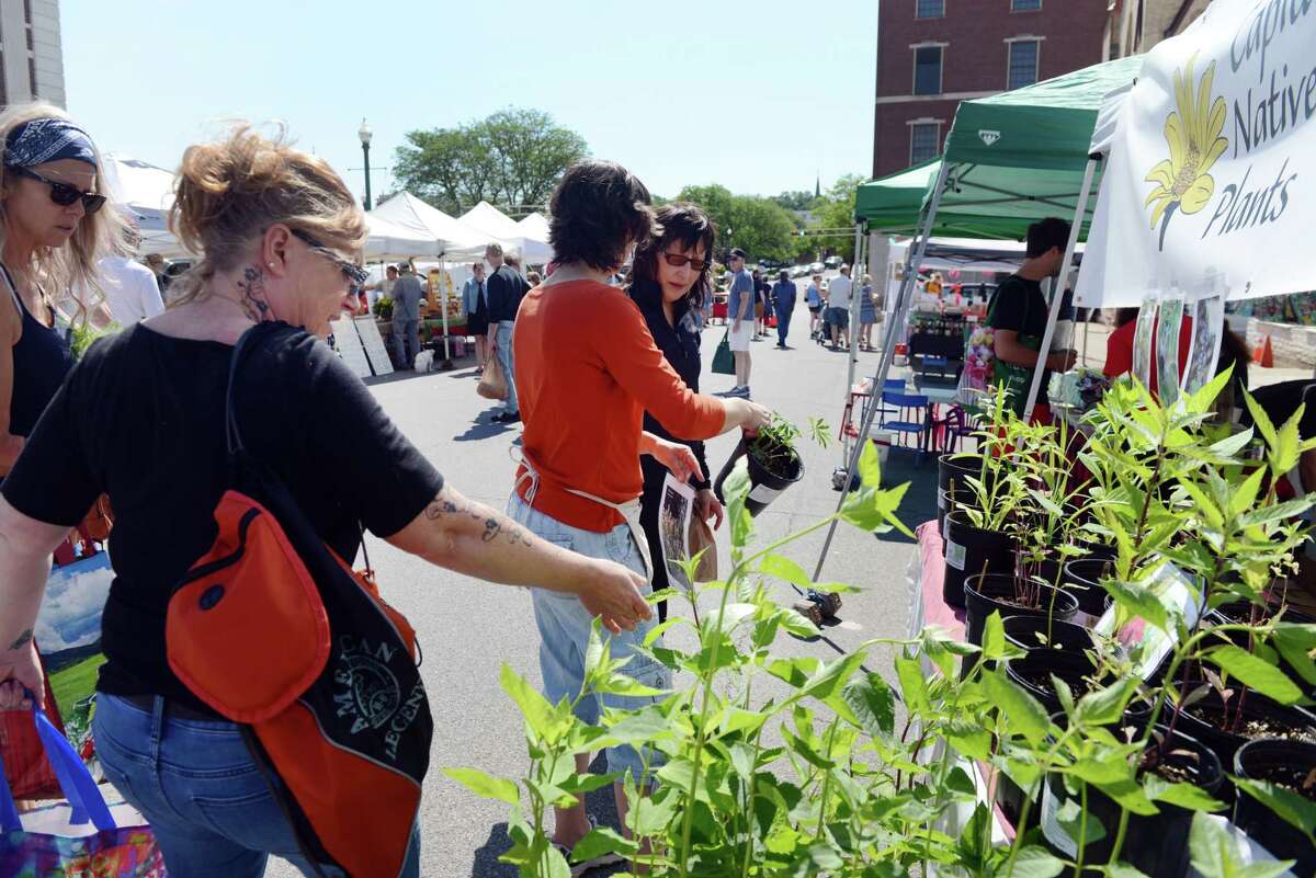 Shoppers browse native plants at Capital Native Plants on June 23, 2019, at the Schenectady Greenmarket in Schenectady. Starting this Sunday, the market will be inside the Proctors theater complex for the winter months. (Catherine Rafferty/Times Union)