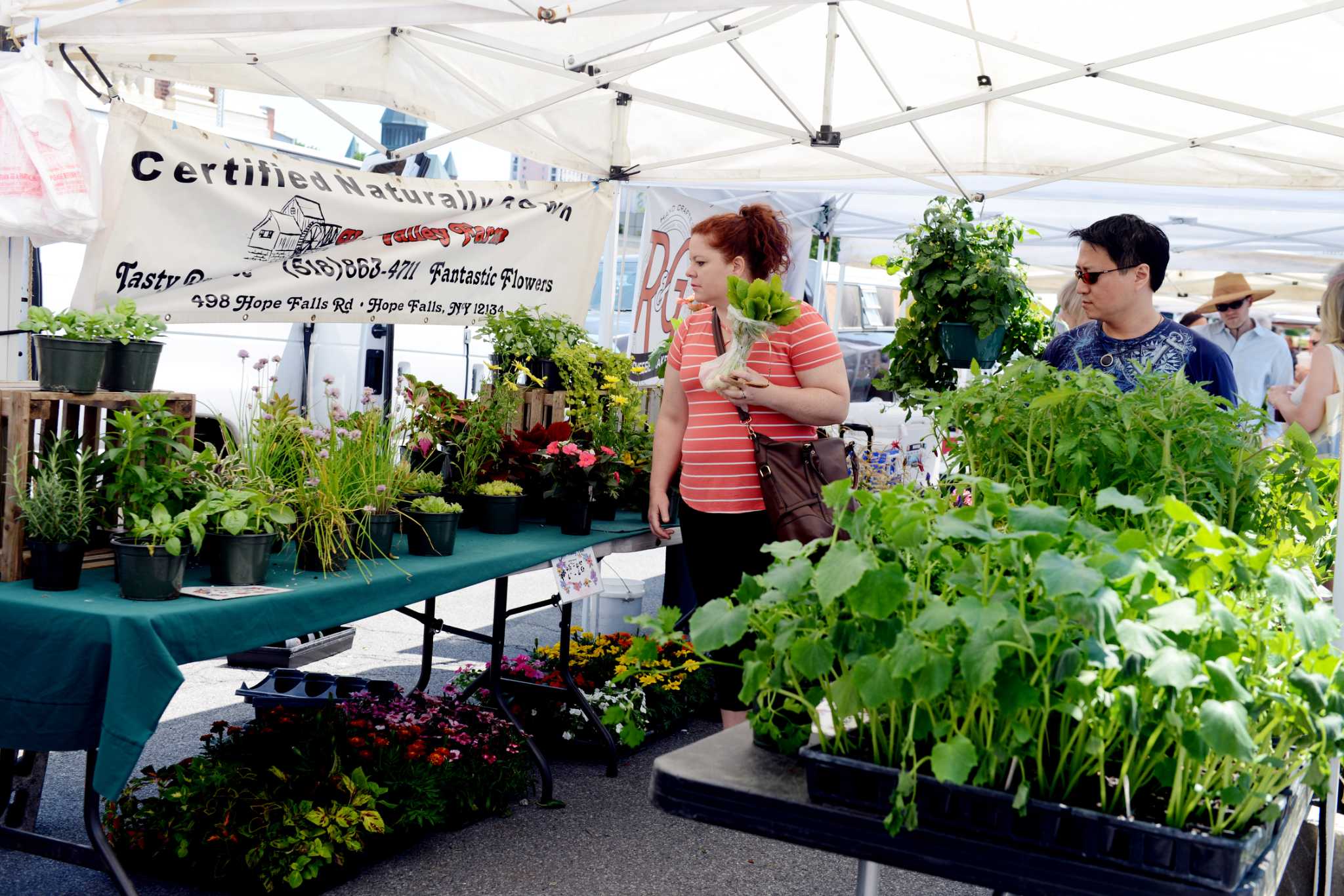 Schenectady Greenmarket opening Sunday