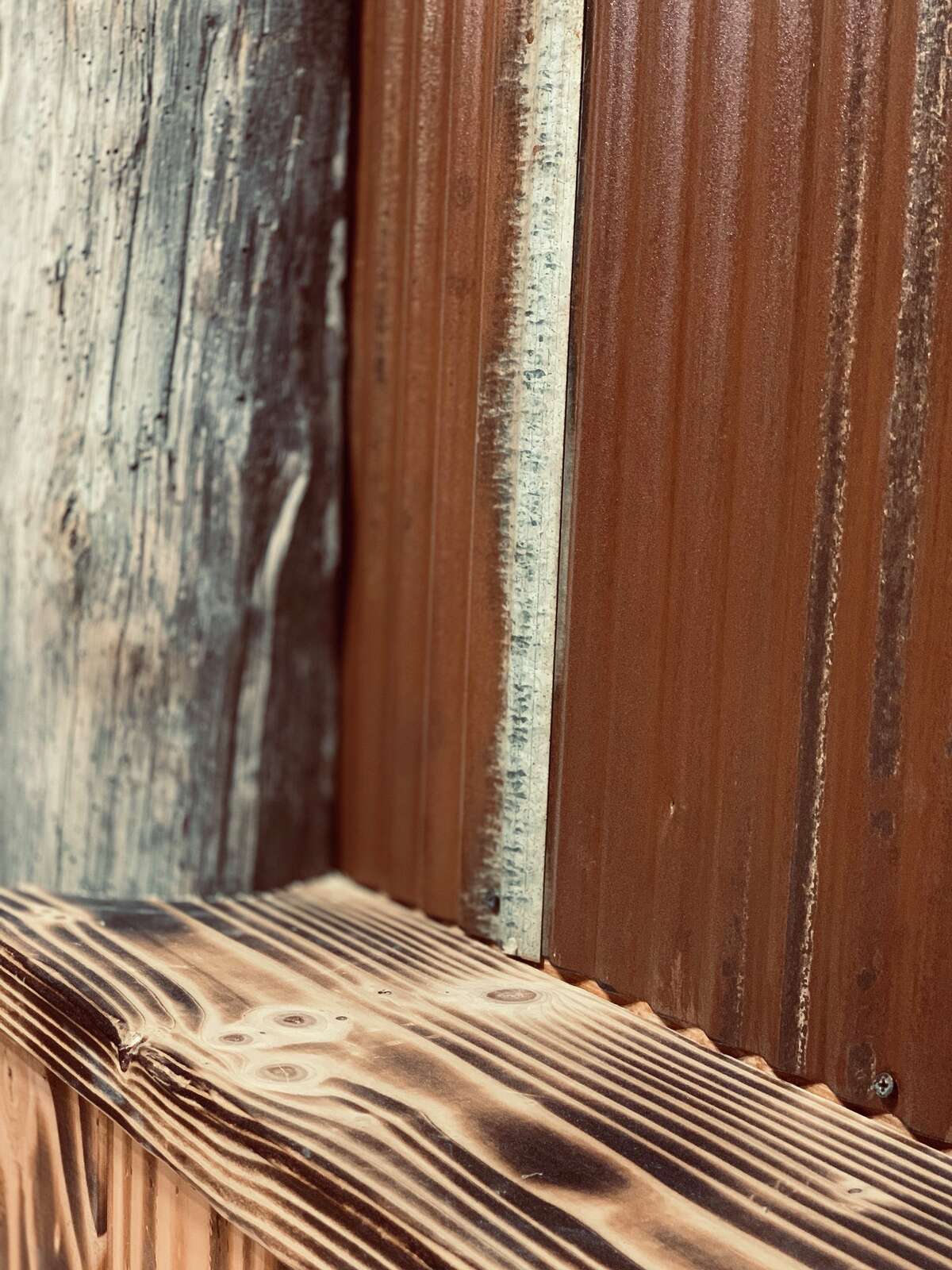 Molasses to open Sunday in downtown Midland