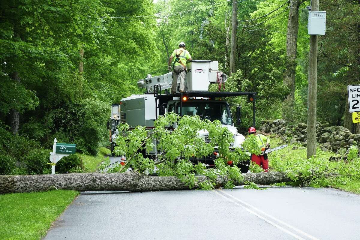Workers at 10 a.m. cut up the tree that fell across Valley Road earlier Wednesday morning and took out electrical power for customers in New Canaan and Wilton. — Luca Triant photo