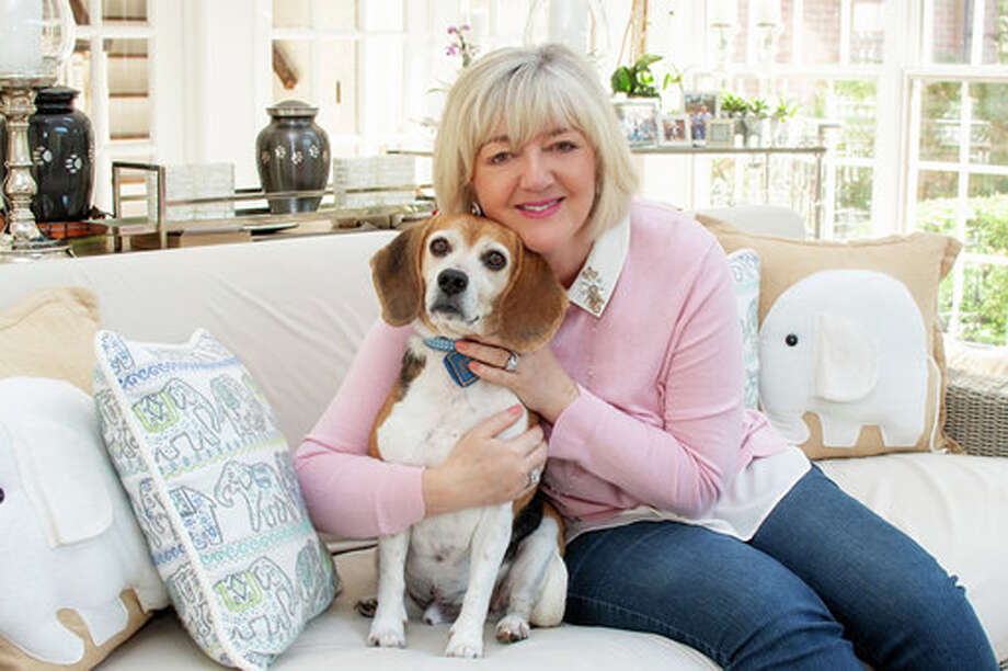 Opinion New Canaan Woman Will Pay Pet Adoption Fees This Weekend