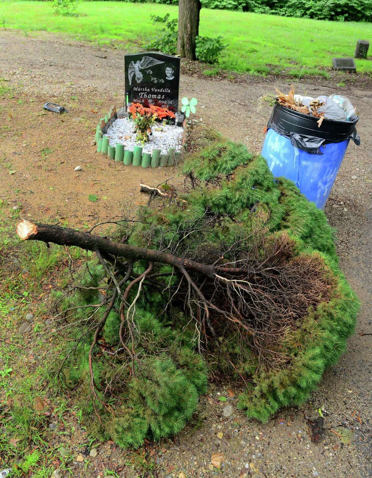 A trash can and cut tree rest near a lone head stone at Park Cemetery in Bridgeport, Conn., on Tuesday June 25, 2019.