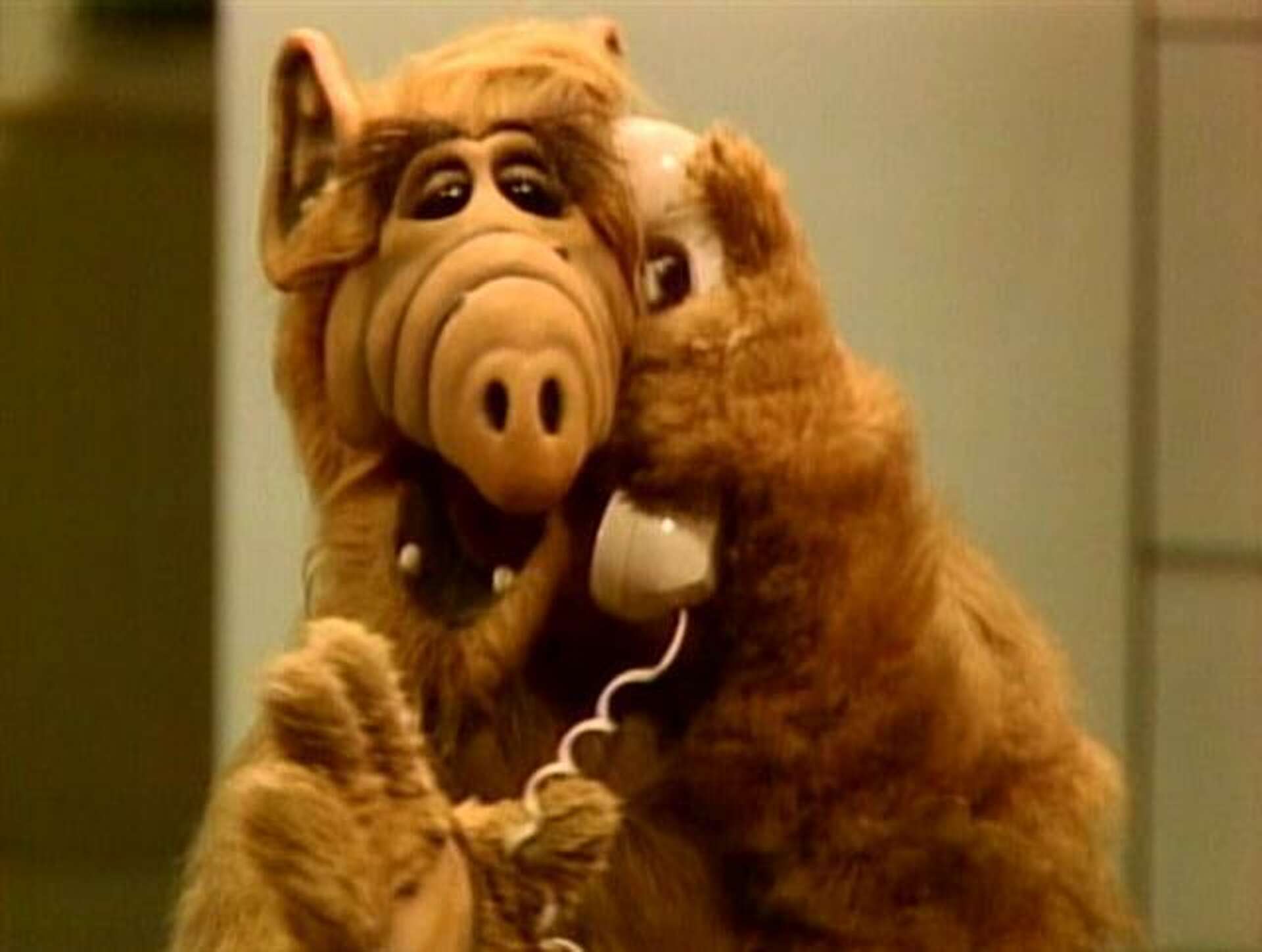 ALF, that endearing alien hatched in Greater New Haven, might get a statue