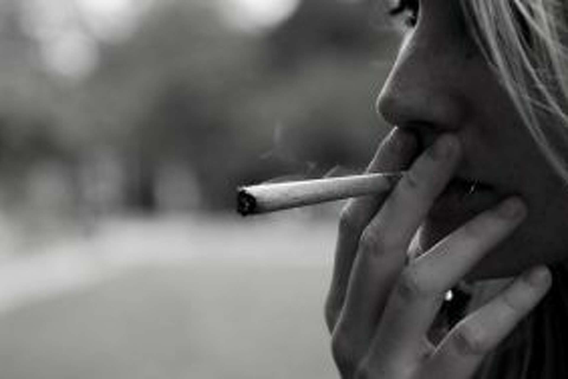 tobacco-free nicotine pouch Nicotine Pouch Brands in the U.S.: FRE, Rogue, and More tobacco-free nicotine pouch Nicotine Pouch Brands in the U.S.: FRE, Rogue, and More