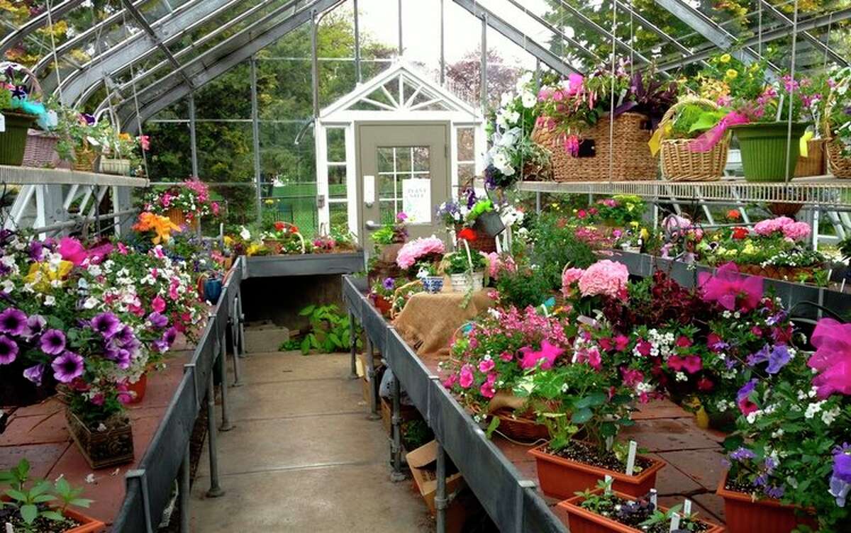 Ballard Greenhouse in Ridgefield is ready for this weekend's plant sale.