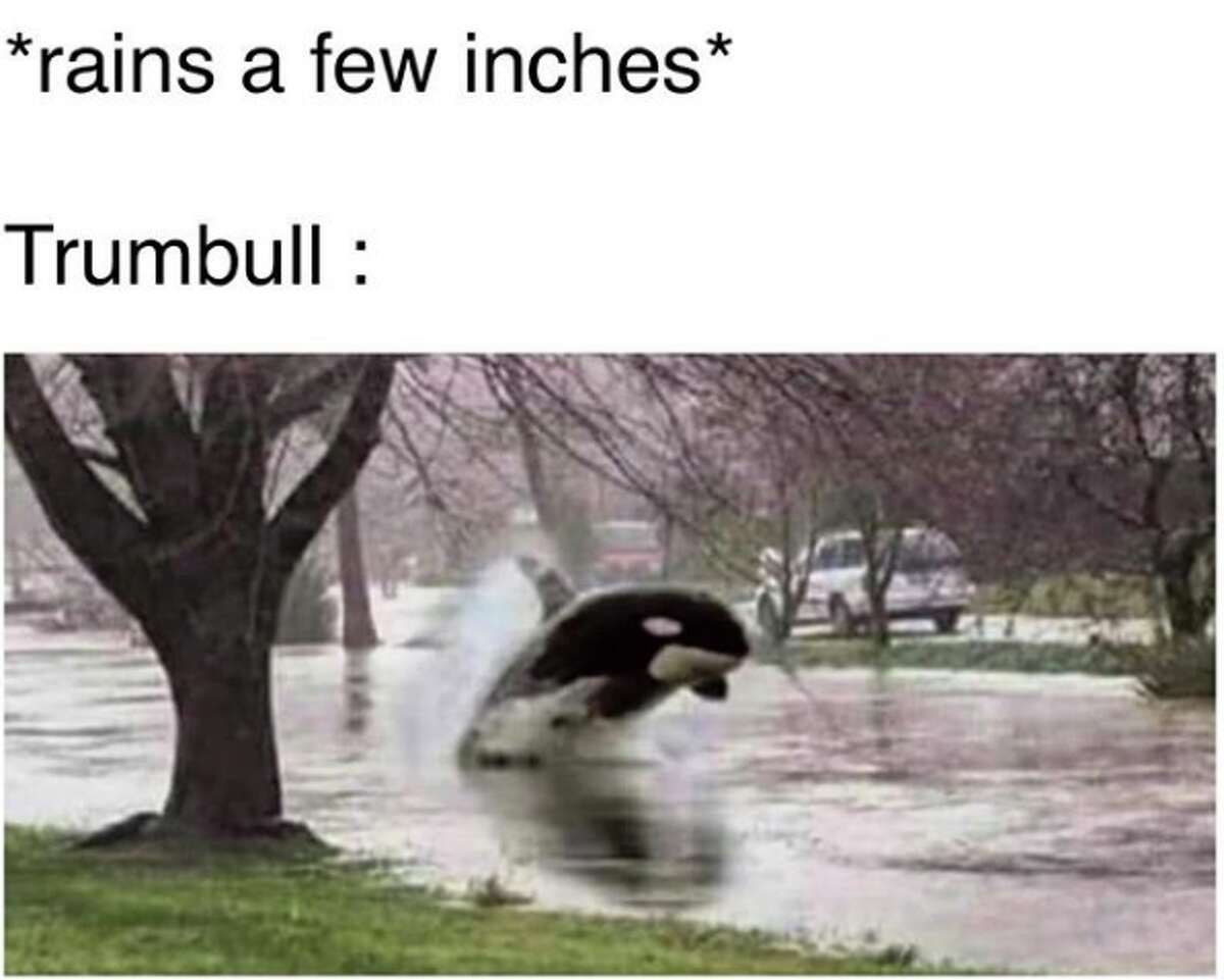 Trumbull memes rain
