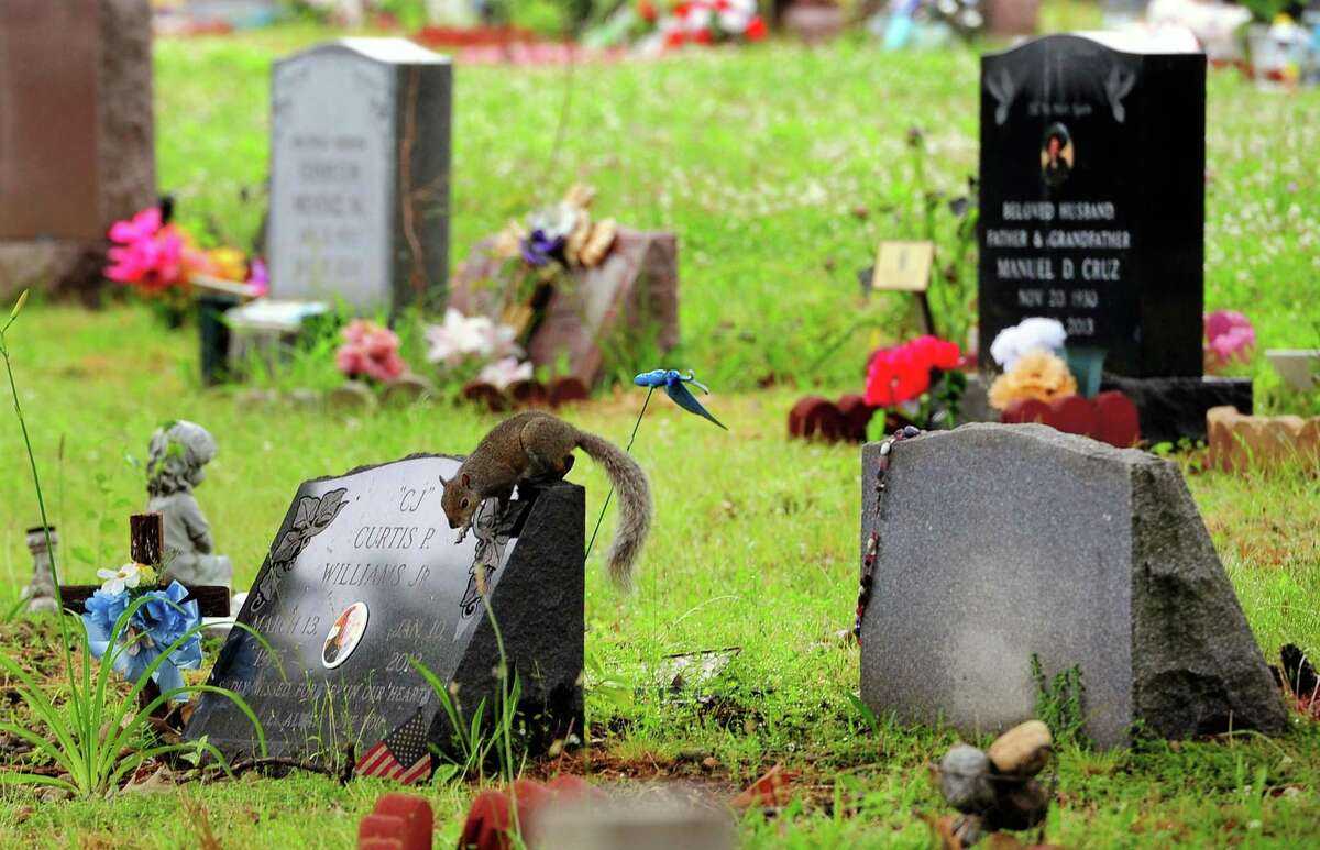 A view of headstones at Park Cemetery in Bridgeport on Tuesday.