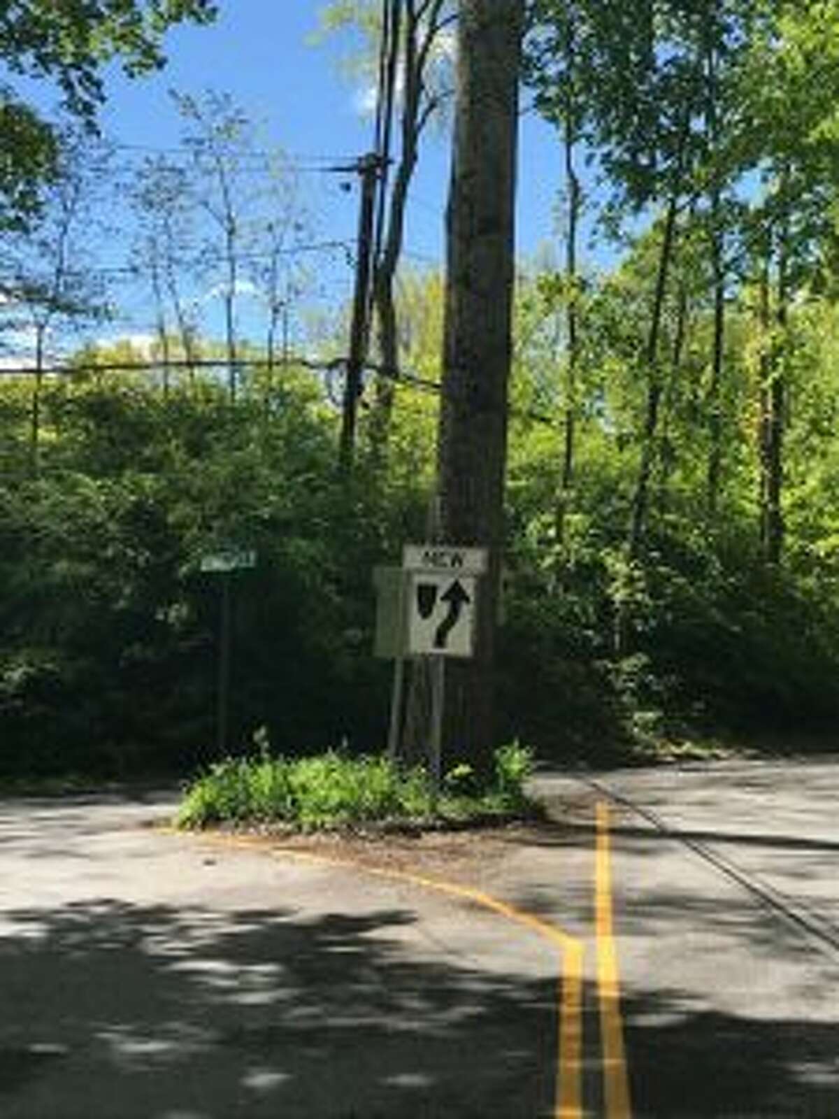 Cobbs Mill Road by Cedar Road (Route 53). - contributed photo
