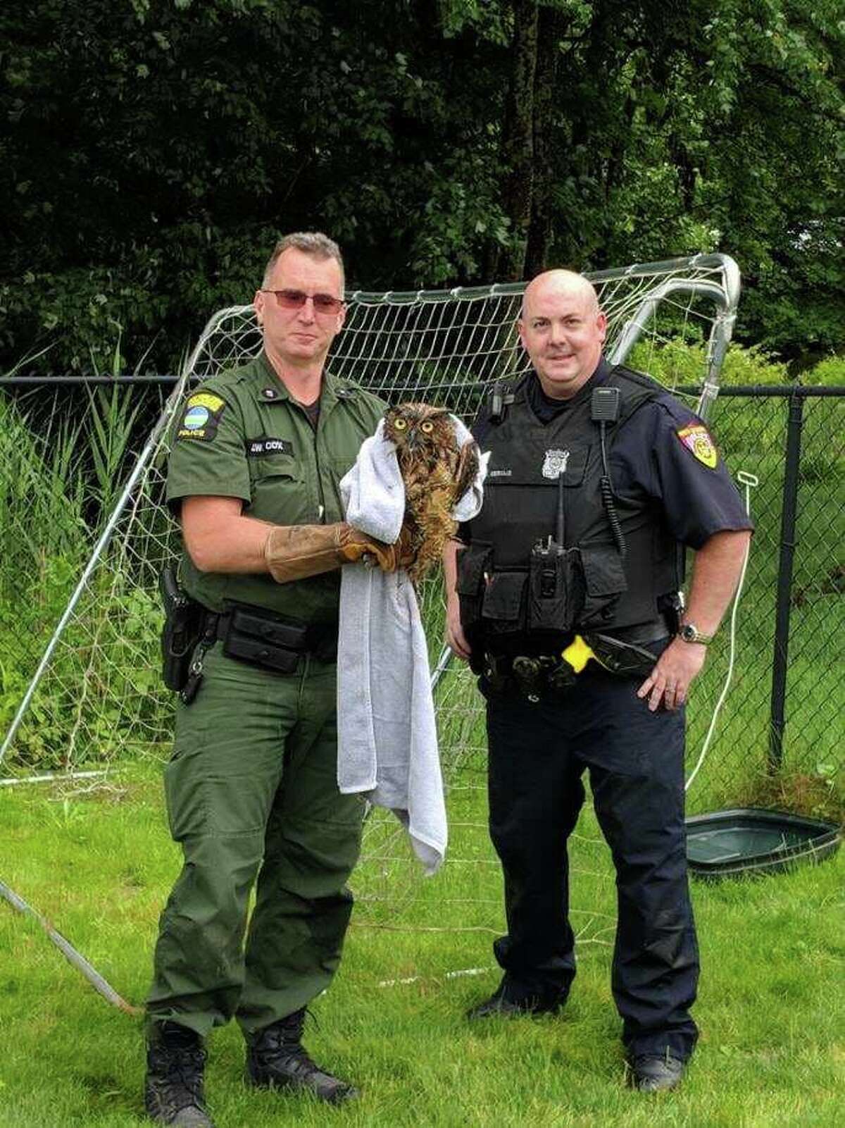 Police Blotter East Greenbush Ny - 1rh5laf