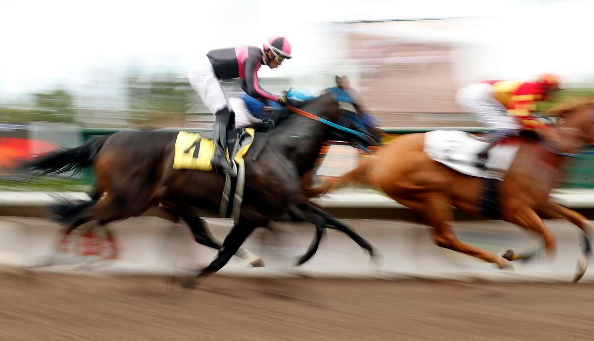 Horseracing diehards at Pleasanton track concede sport needs to be