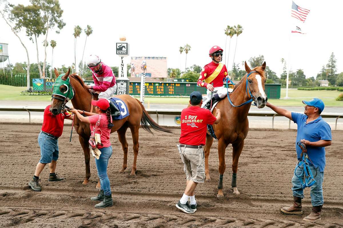 Horseracing diehards at Pleasanton track concede sport needs to be