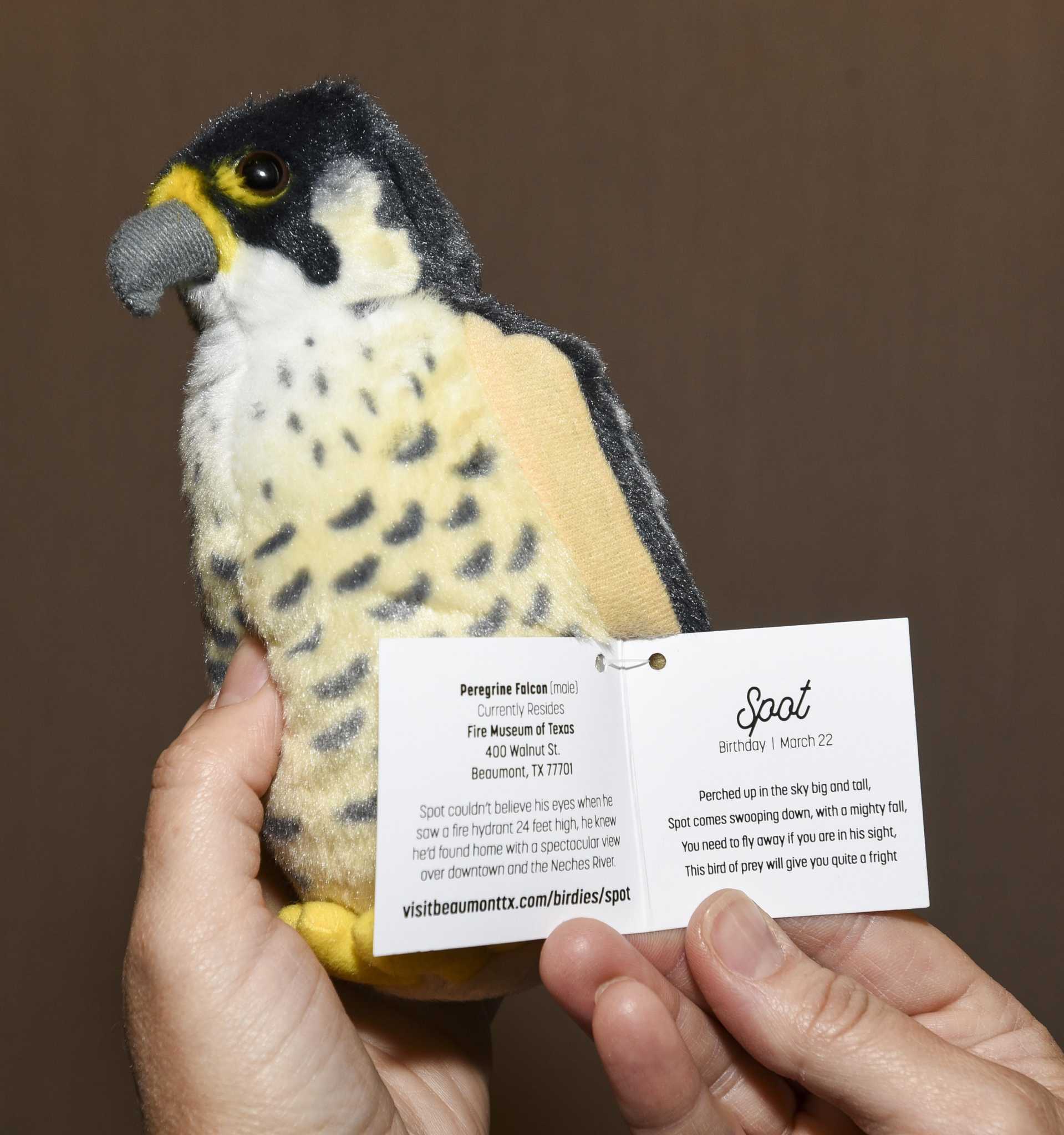 Earn your own Beaumont Birdie by exploring the city