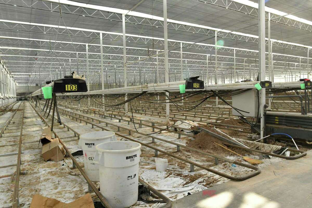 To prepare for hemp production, Village Farms has started to convert this greenhouse in Monahans.