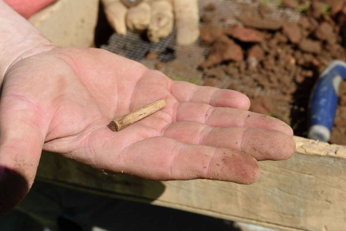 Yates Mansion excavation offers lens into structure's past