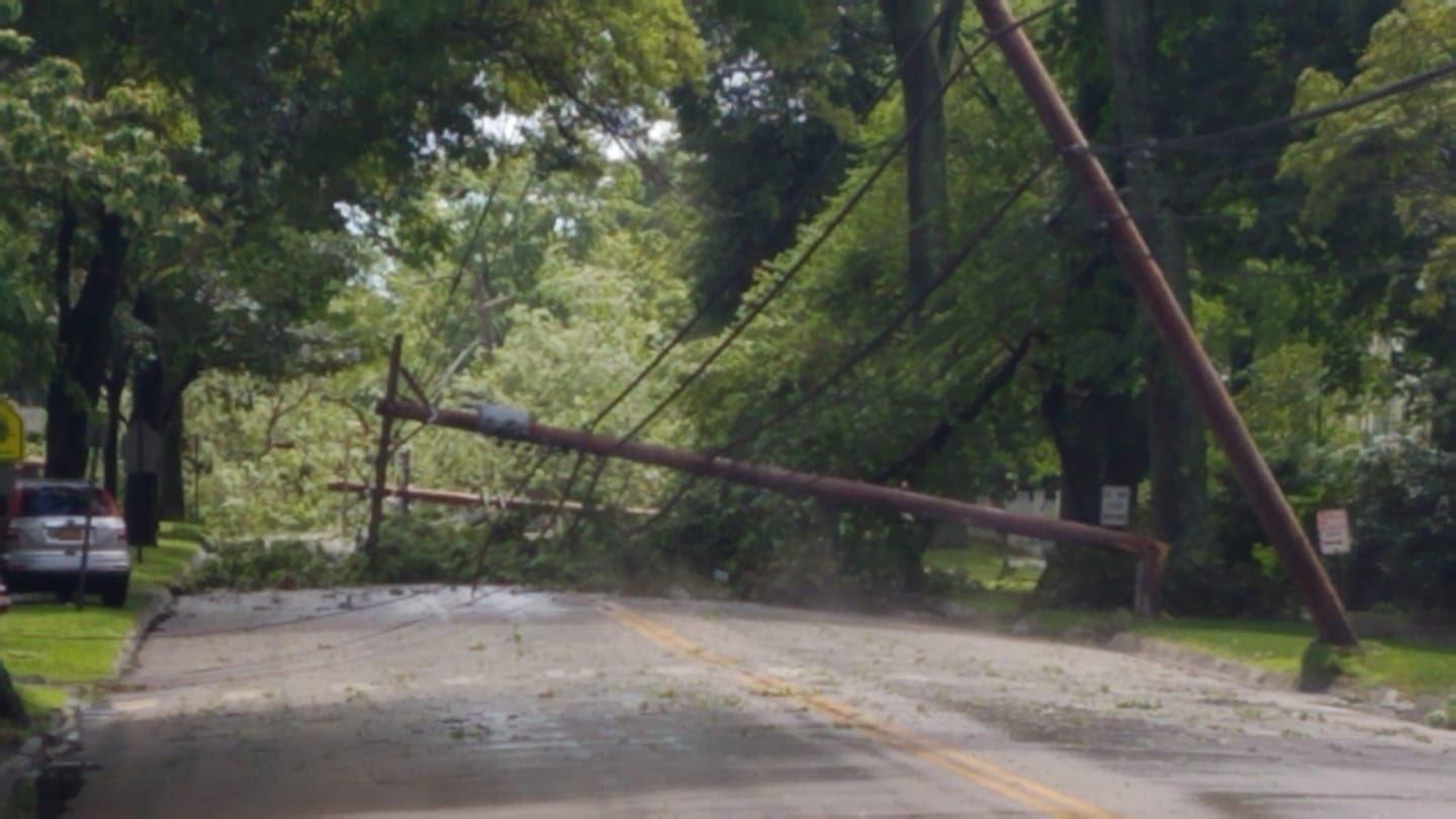 Police ID Fairfield man killed by fallen tree limb