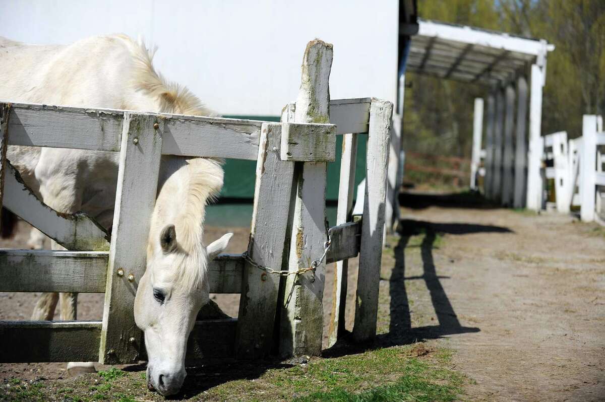 Where to go horseback riding in Connecticut
